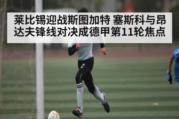 莱比锡迎战斯图加特 塞斯科与昂达夫锋线对决成德甲第11轮焦点